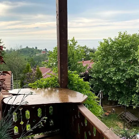 Kaf Dagi Hotel 3*