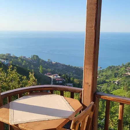 Kaf Dagi Hotel 3*